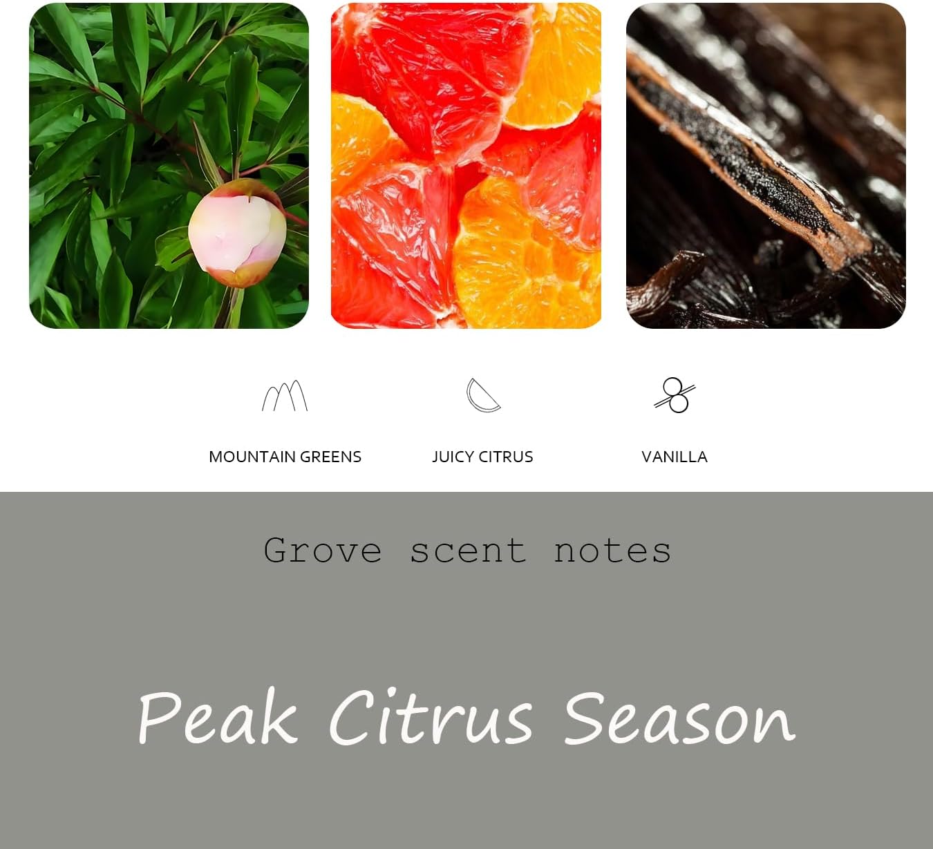 Grove Air Freshener, Stone Scent Starter Kit, Odor Eliminator - Car Visor Clip (Pack of 1 - Grove Scent)