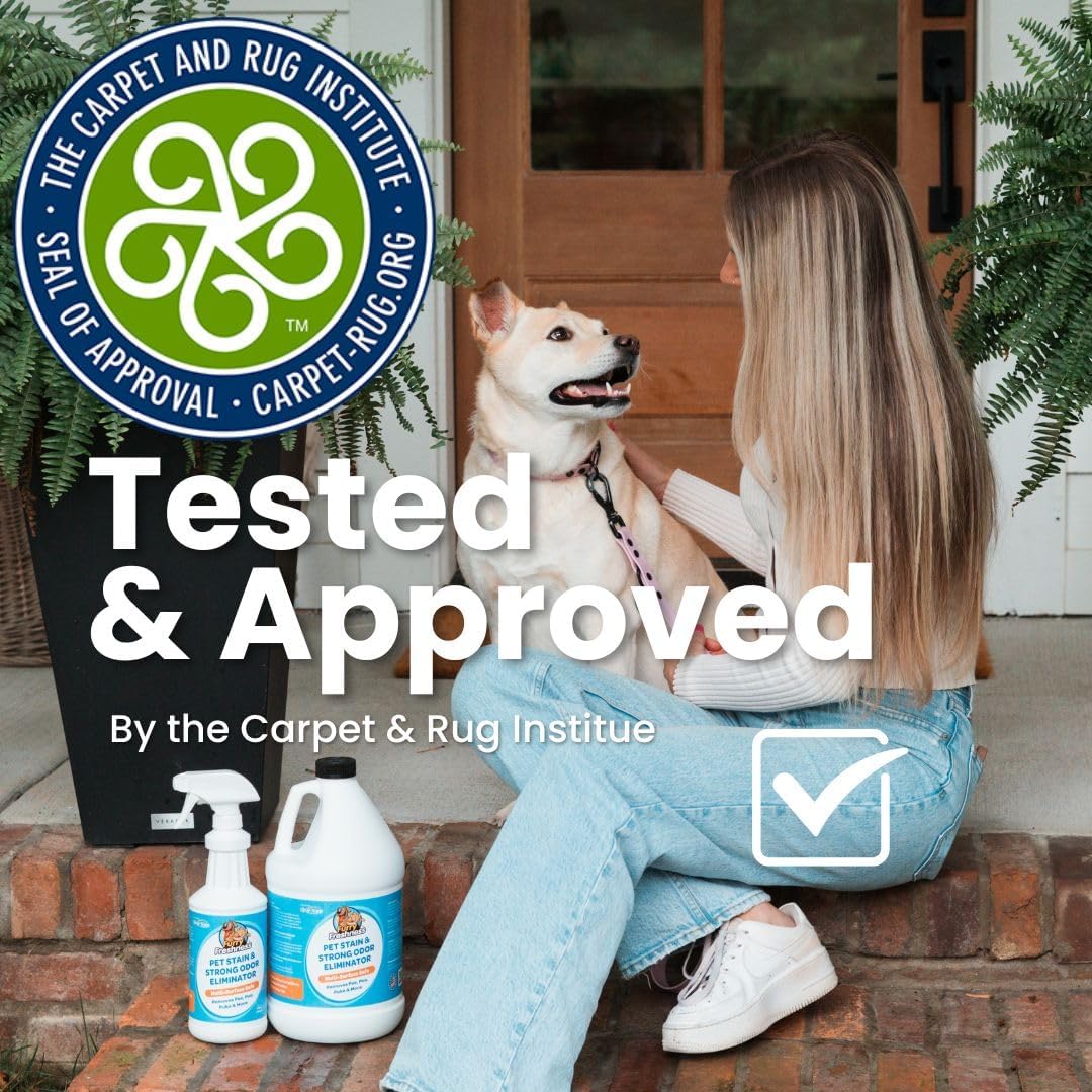 FurryFreshness Extra Strength Cat or Dog Pee Stain & Permanent Odor Remover + Smell Eliminator -Removes Stains From Pets & Kids Including Urine or Blood- Lifts Old Carpet Stains- (2 Pack)
