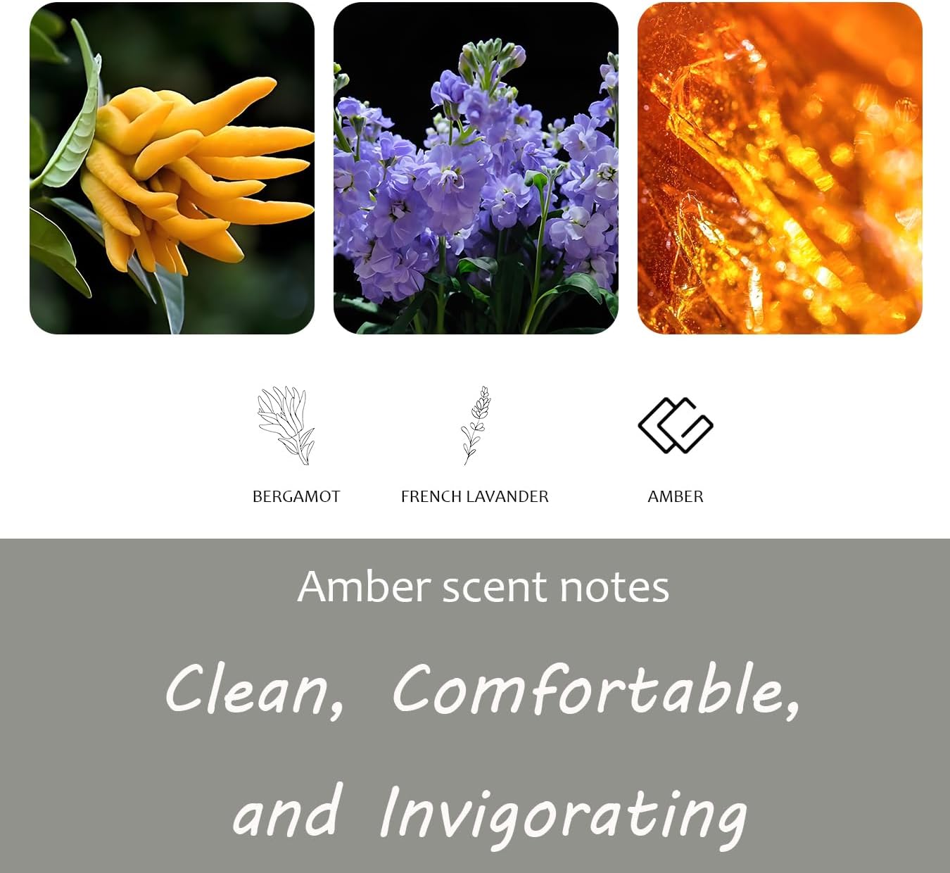 Amber Air Freshener, Stone Scent Starter Kit, Odor Eliminator - Car Visor Clip (Pack of 1 - Amber Scent)