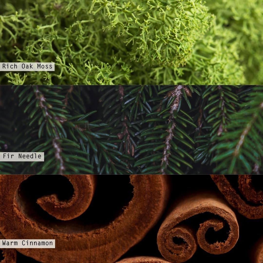 ILLUME Refillable Boxed Glass Candle, Balsam & Cedar