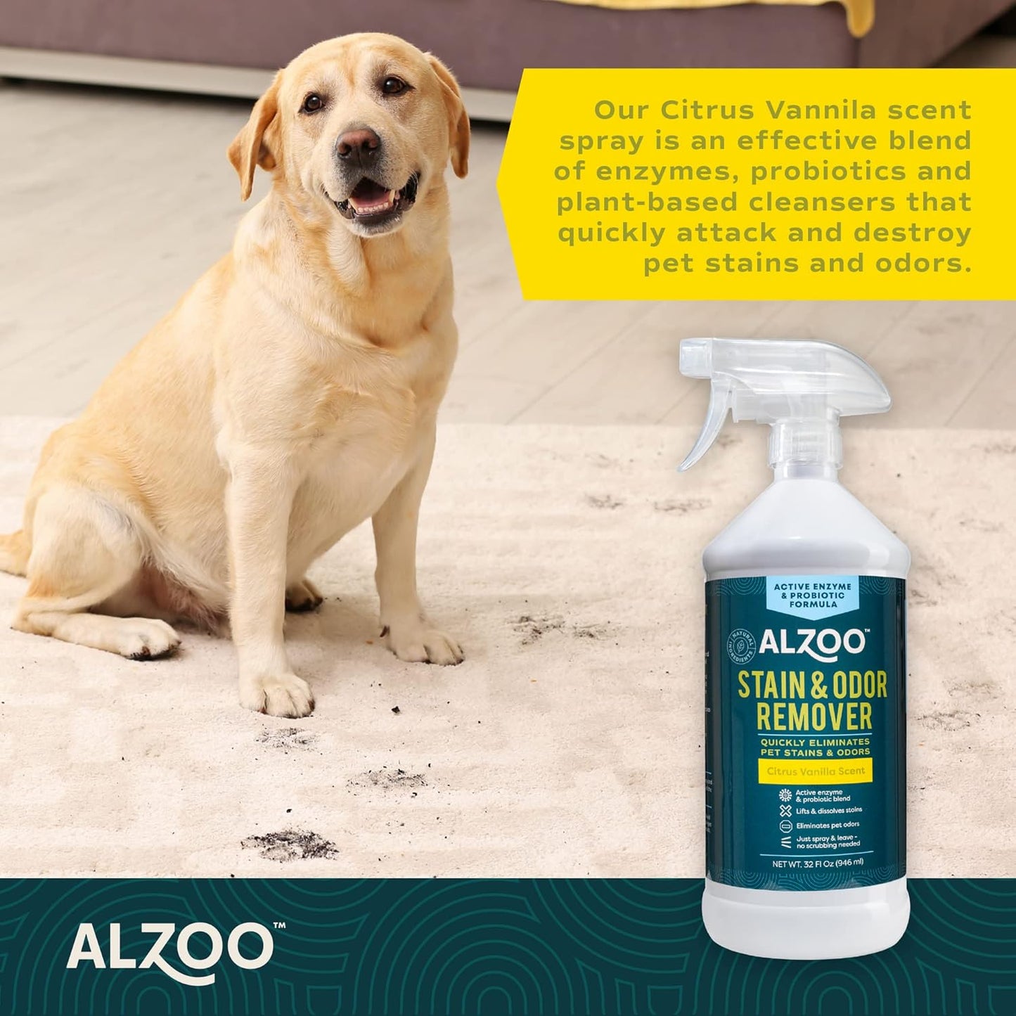 ALZOO Stain & Odor Remover, Quickly Lifts & Dissolves Pet Stains & Helps Eliminate Odors, 100% Plant-Based Active Ingredients, Citrus Vanilla Scent, 32 Fl. Oz Spray Bottle