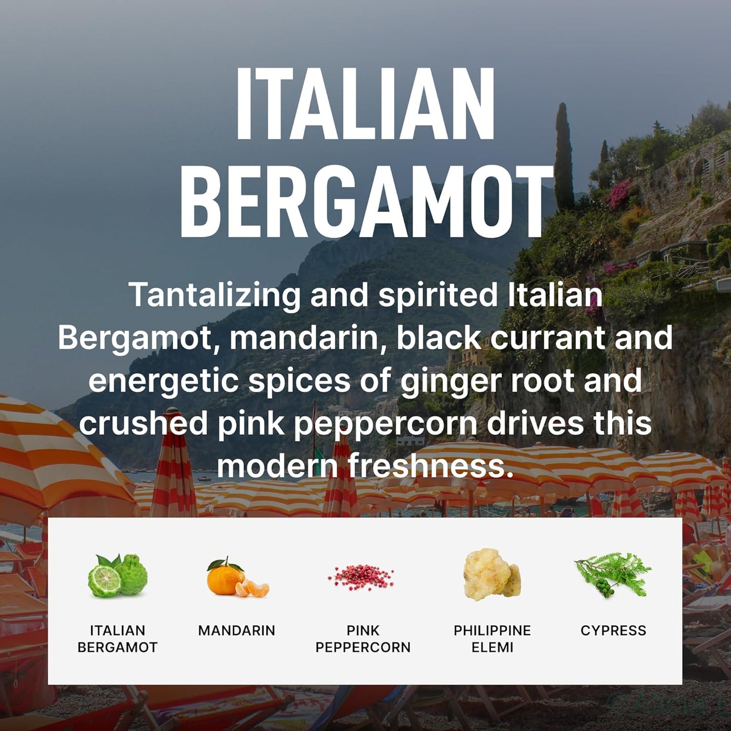 Laundry Sauce - Laundry Dryer Sheets (Italian Bergamot), Luxury Fragrance, Contains Essential Oils, Softens Fabric, Removes Static Cling, Eco-Friendly Packaging, Travel Friendly, 69 Count