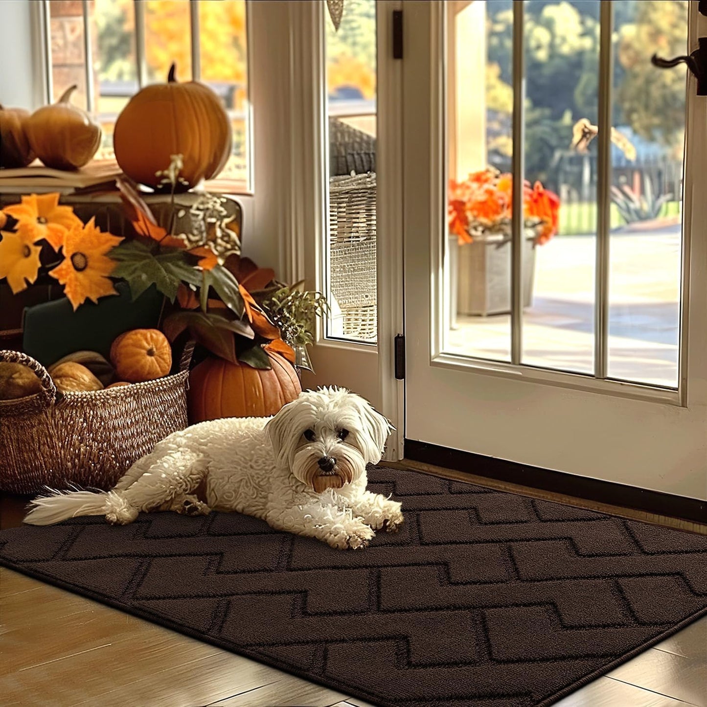 hicorfe Indoor Door Mat,Non Slip Door Mats,32"x48" Front Back Door Mat Rubber Backing,Absorbent Resist Dirt Entrance Inside Floor Mats for Entryway Washable Low-Profile(Coffee)