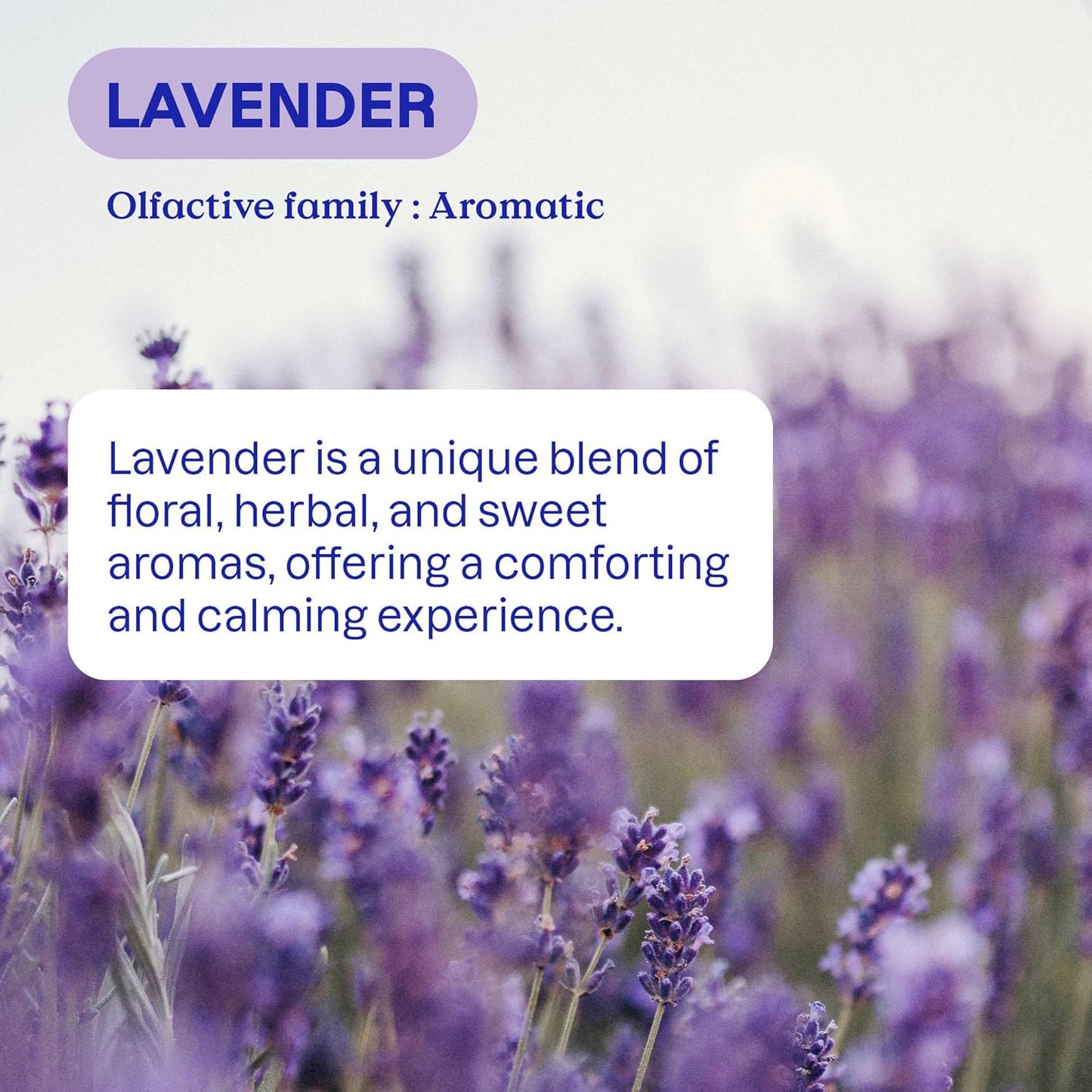 ATTITUDE Liquid Laundry Detergent, EWG Verified, HE Compatible, Plant-Based & Vegan, Natural Laundry Soap, Lavender Scent, 40 Loads, 67.6 Fl Oz