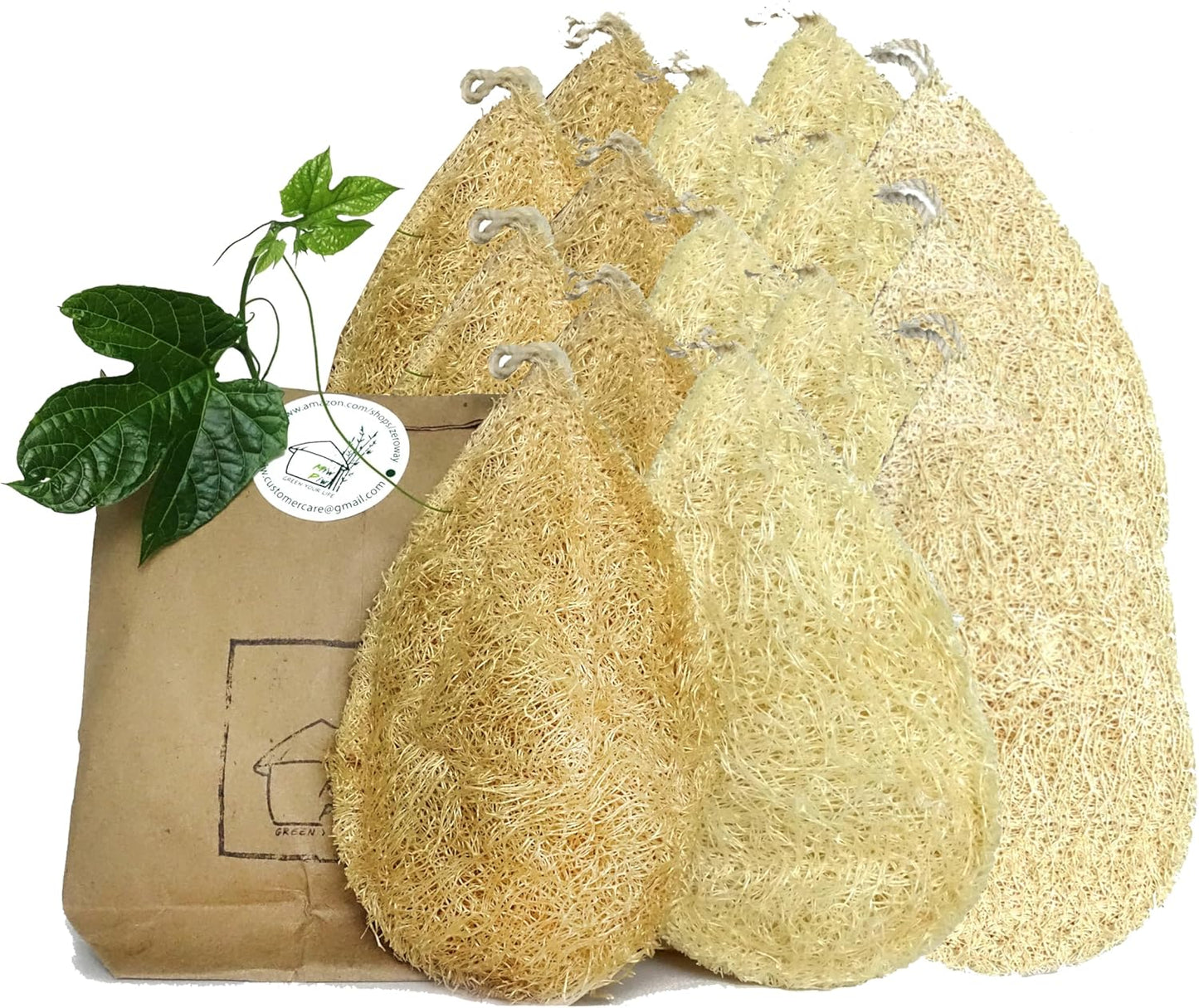 Natural Loofah Dish Sponge (Pack 15) - Vegetable Scrubber for Kitchen -100% Biodegradable Compostable Dishwashing Scouring Pad, Zero Waste Plastic Free Eco Friendly Sustainable