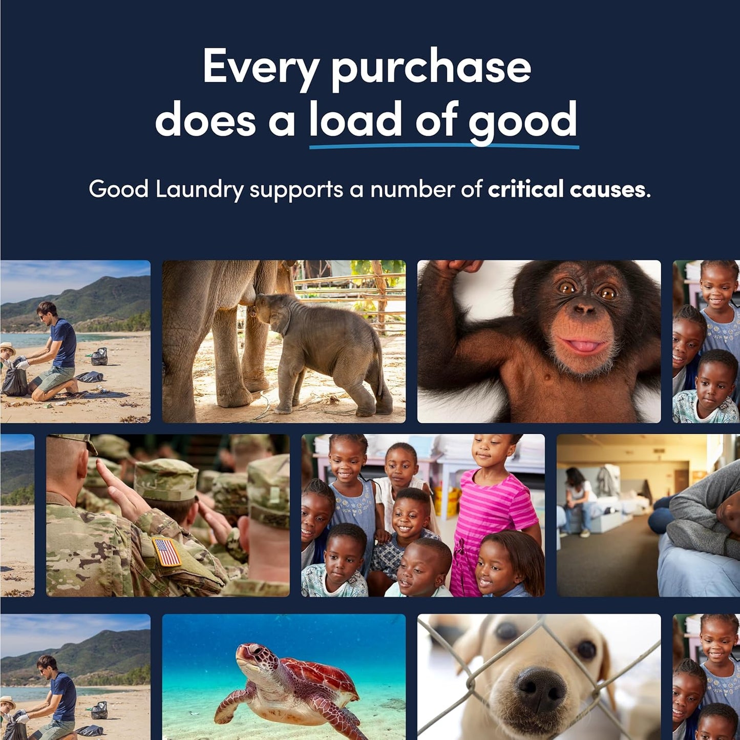 Good Laundry Scent Booster Beads - Flowers of Paradise Laundry Fabric Softener Bead – Eco-Friendly Laundry Bead - Scent Booster for Long-Lasting Freshness, Scent Beads for Clothes - 7oz - USA Based