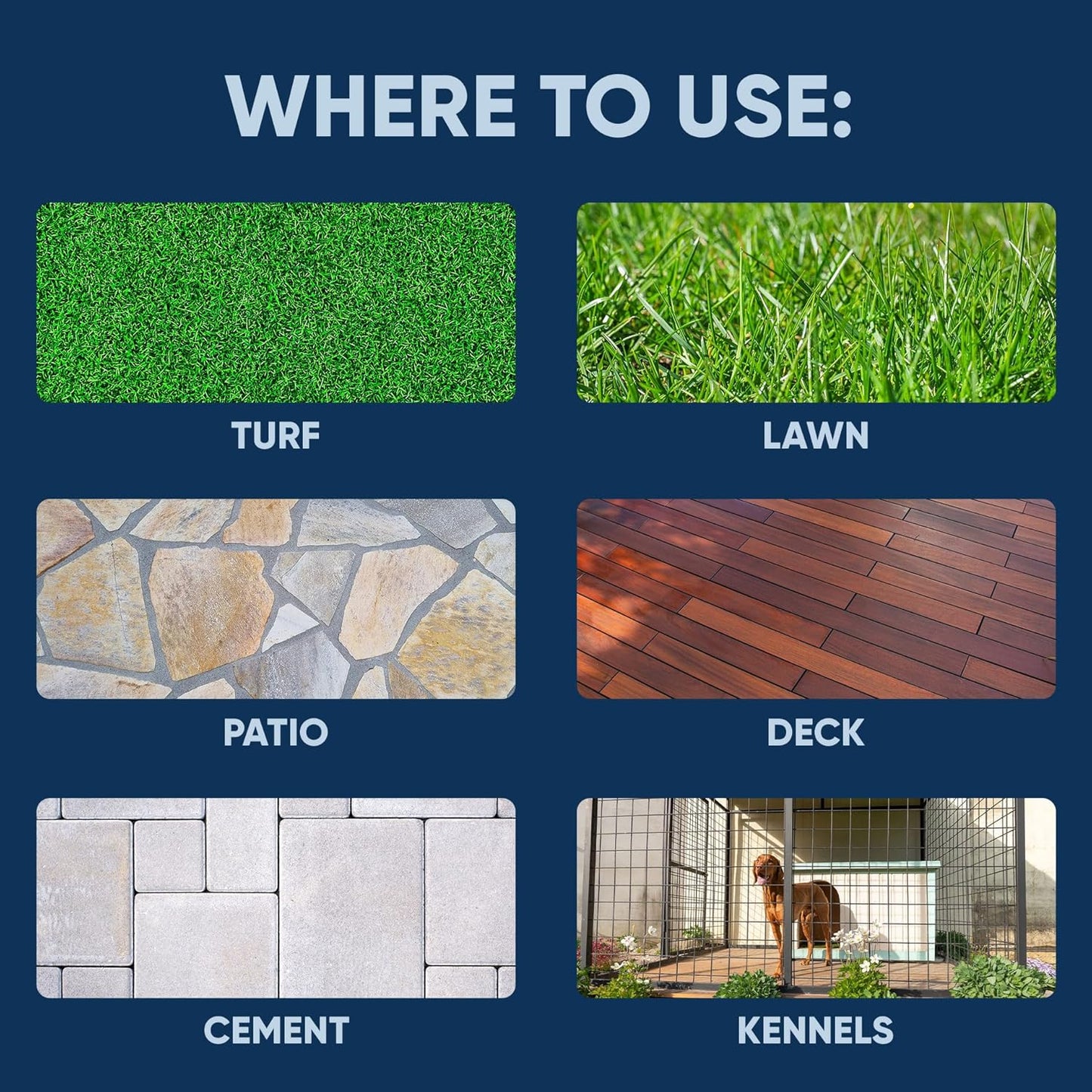 Eco Strong Outdoor Odor Eliminator Outside Dog Urine Enzyme Cleaner Powerful Pet, Cat, Animal Scent Deodorizer | Professional Strength for Yard, Turf, Kennels, Patios, Decks (160 oz Bundle w Sprayer)