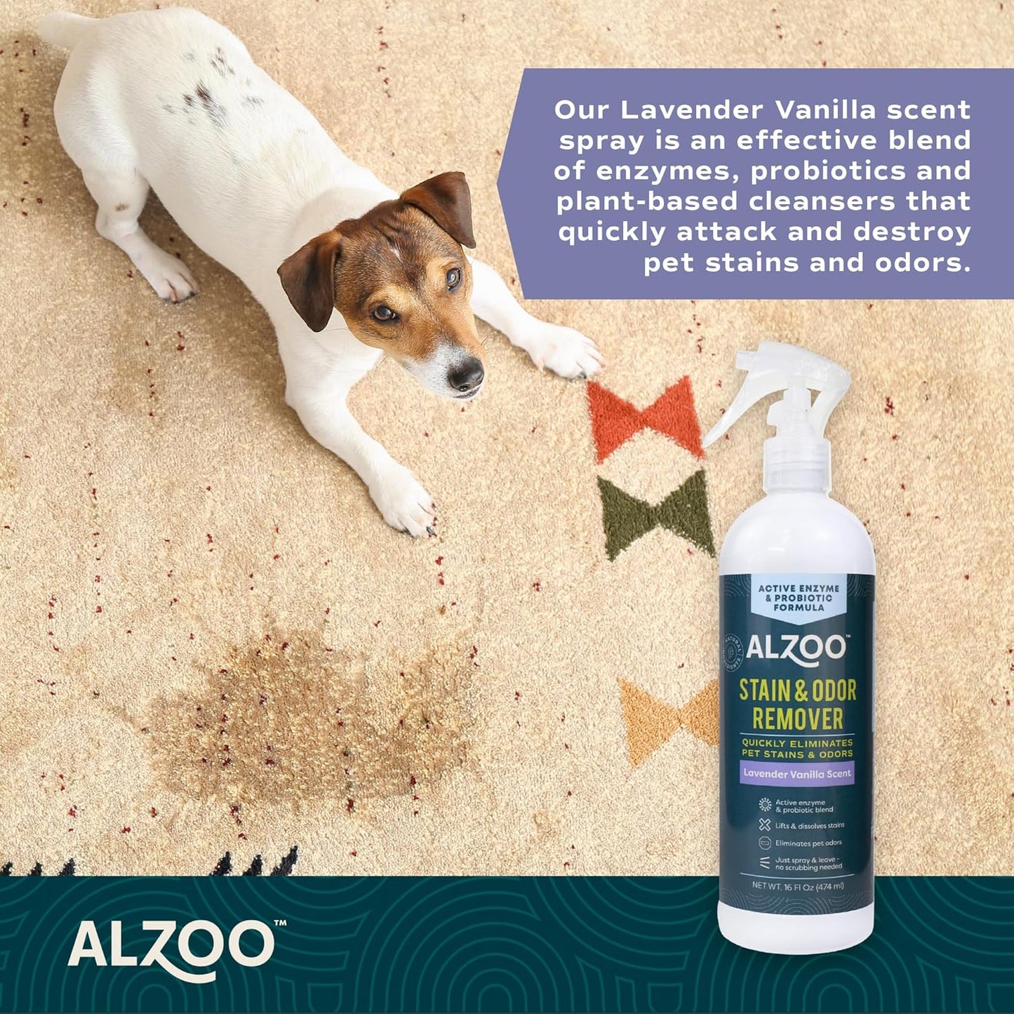 ALZOO Stain & Odor Remover, Quickly Lifts & Dissolves Pet Stains & Helps Eliminate Odors, 100% Plant-Based Active Ingredients, Lavender Vanilla Scent, 16 Fl. Oz Spray Bottle
