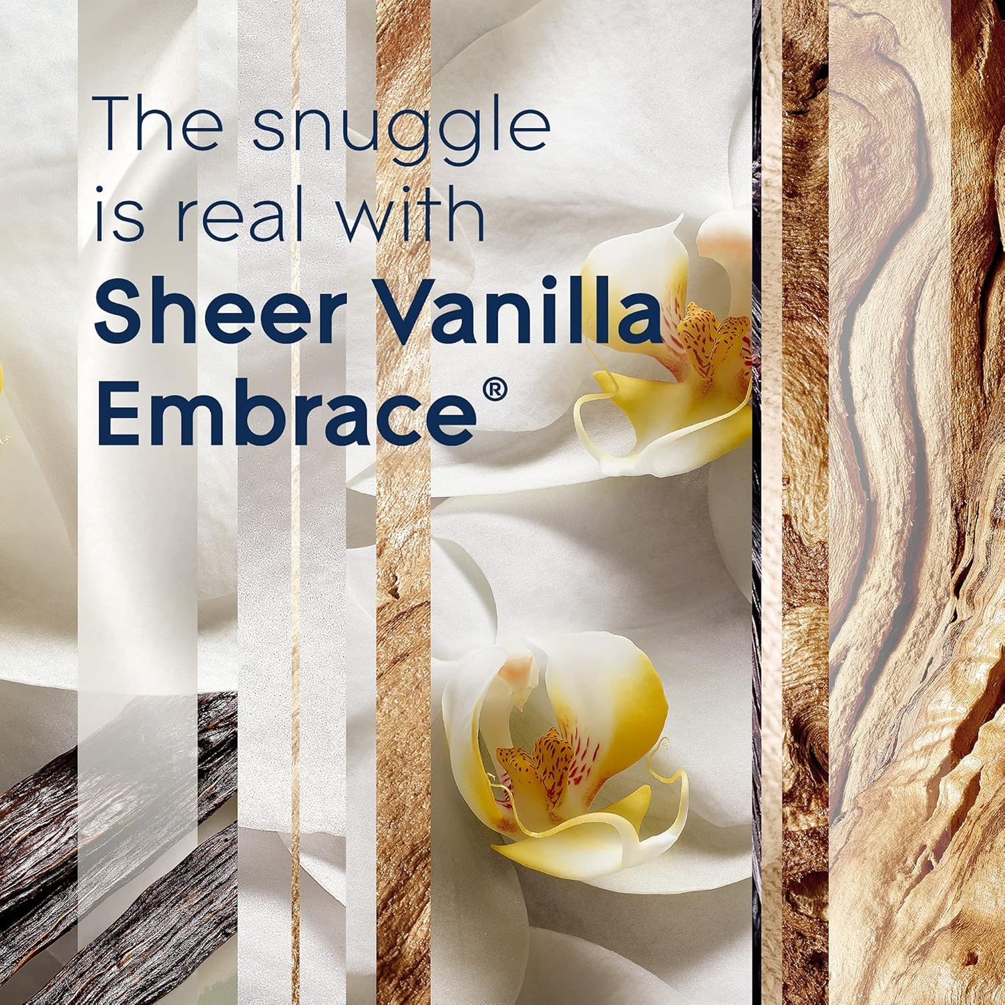 Glade PlugIns Refills Air Freshener, Sheer Vanilla Embrace, Scented and Essential Oils for Home and Bathroom, 0.67 Fl Oz, 10 Count