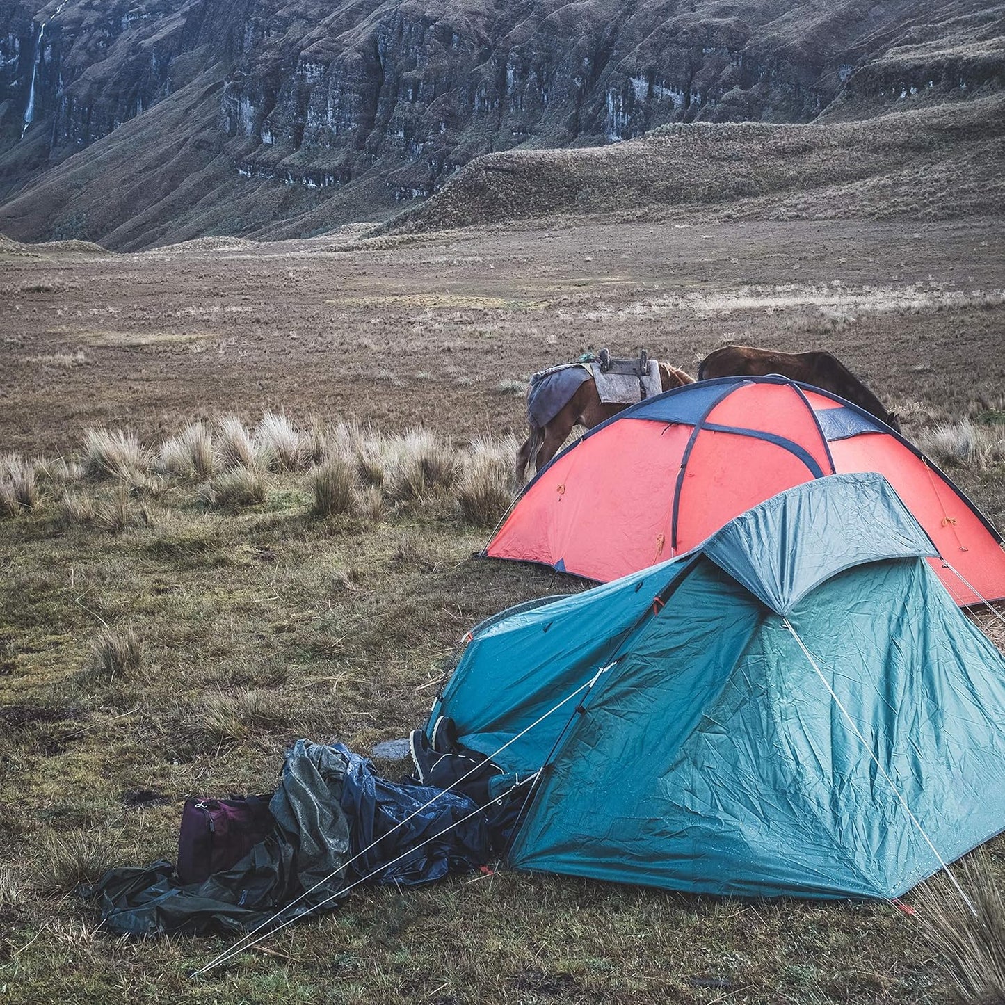 Gardzen 72' x φ1/4" White Rope, UV Resistant Rope for Flag Pole, Clothes line, Camping Tent, Canoes, Tree Work